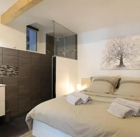 Le Saint Pierre Quartier Historique D'oloron Sainte Marie Apartment Oloron-Sainte-Marie